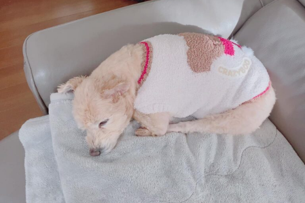 今までのやり方をほんの少し変えてみると、少し先の未来も変わってくる。