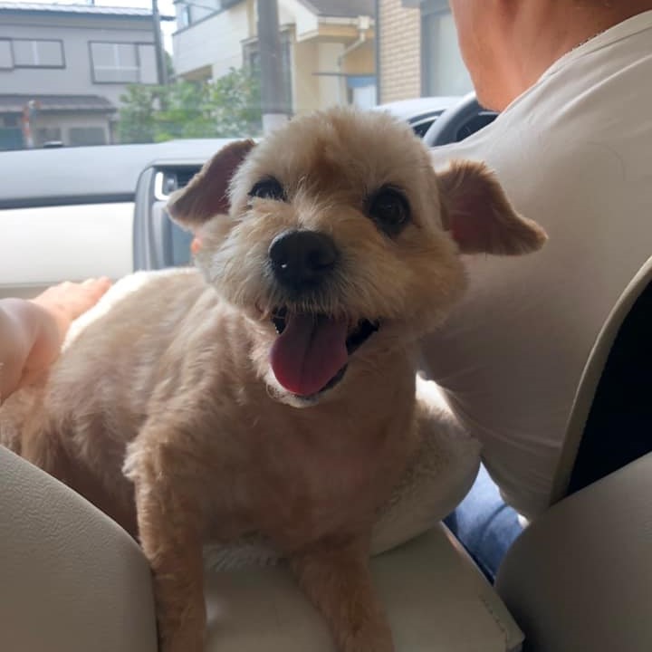 誰もが無自覚のうちにストレスを溜めています。