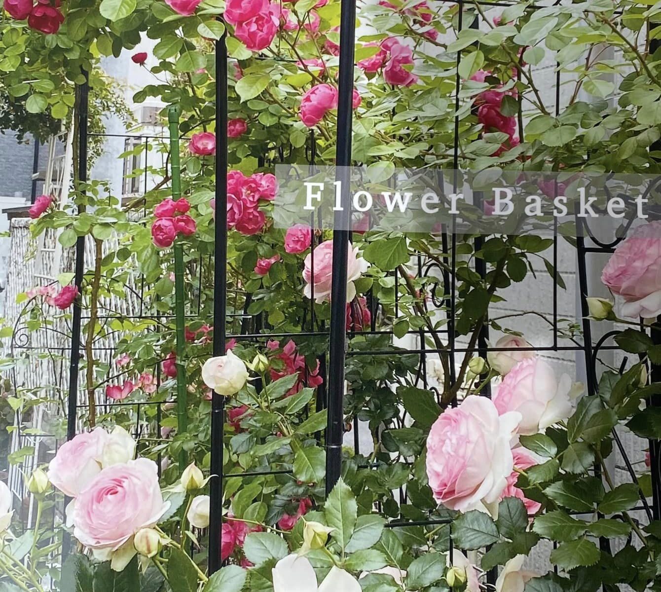 【FlowerBascket】プロフィール撮影会のご案内。