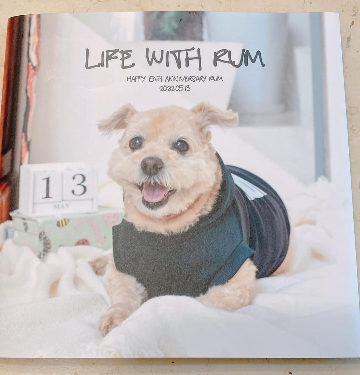 撮影会の日程のお知らせ:愛犬ラムのアルバム完成!