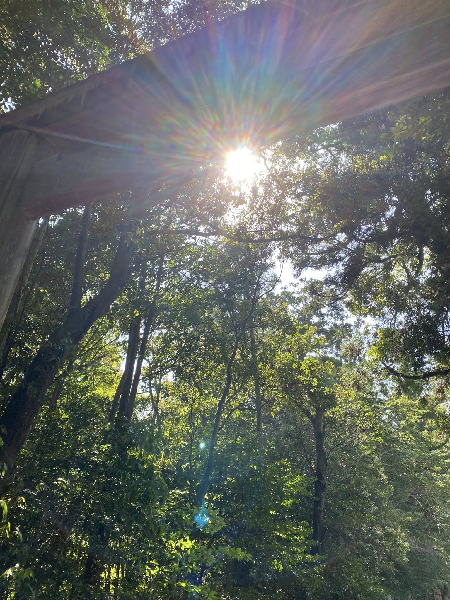 初めての伊勢へ