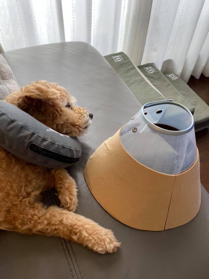 最近の出来事。