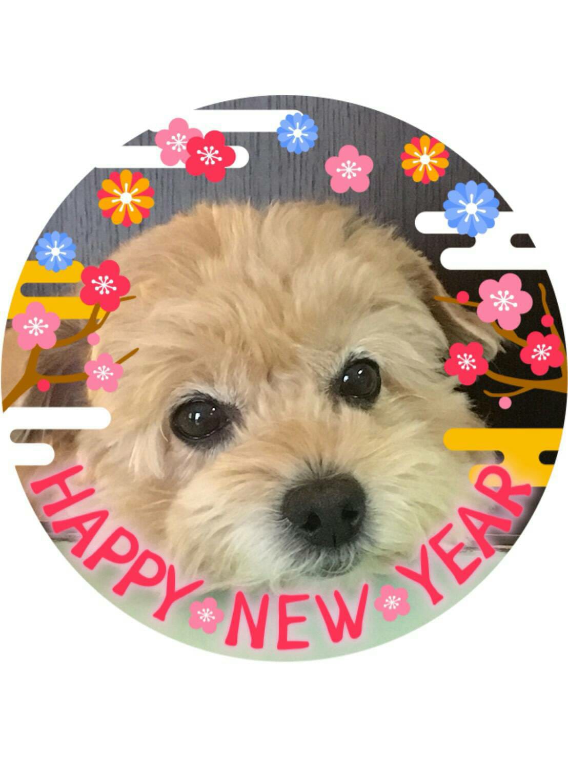 あけまして、はじめまして。